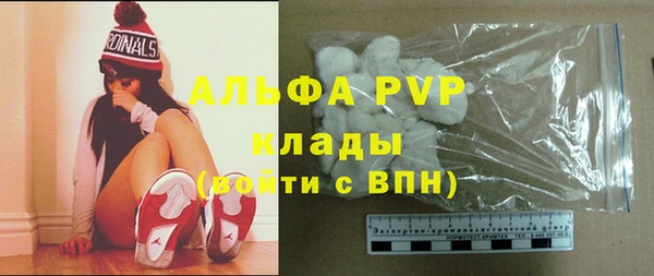 индика Балахна