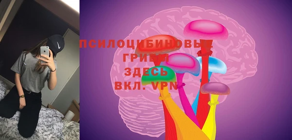 индика Балахна