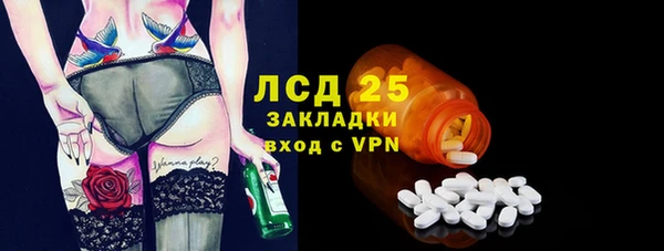 индика Балахна