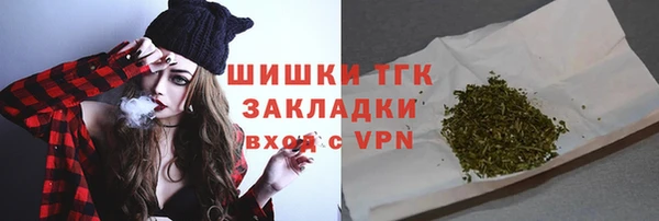 индика Балахна