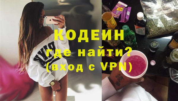 индика Балахна